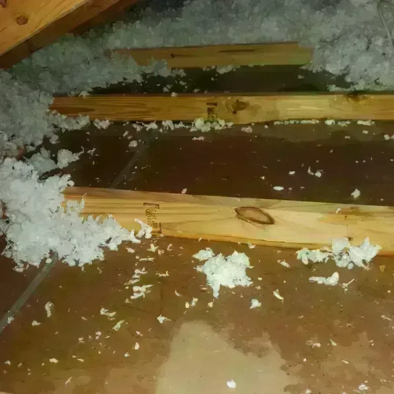 Attic Water Damage in Gettysburg, SD