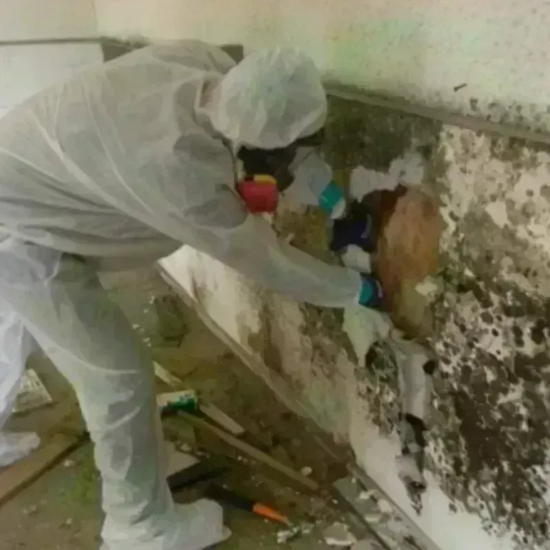 Mold Remediation and Removal in Gettysburg, SD